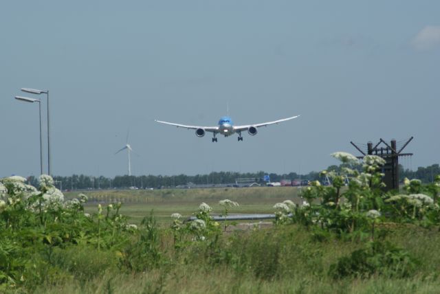 Boeing 787-8 (PH-TFK) - Arke B787-8Dreamliner cn36427