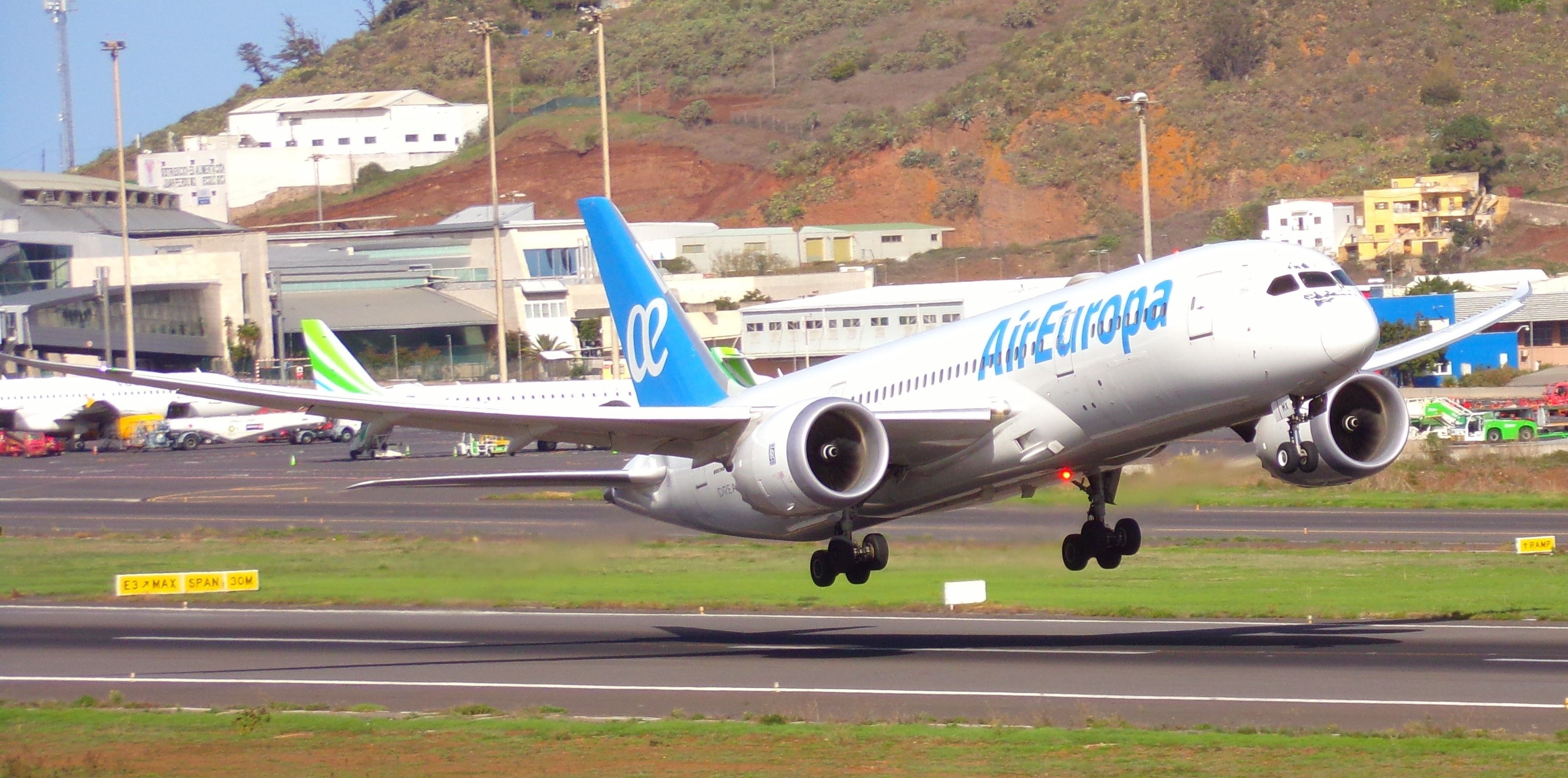 Boeing 787-8 (EC-MMX)