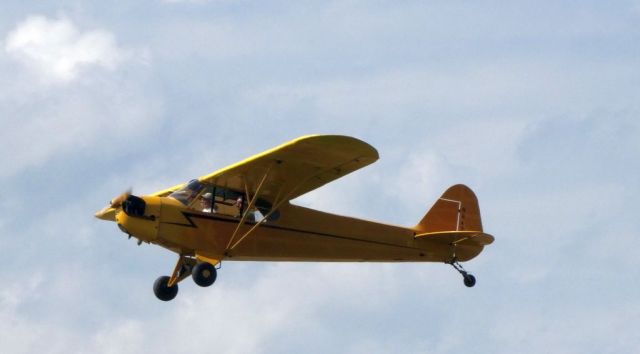 Piper NE Cub (N6473H)