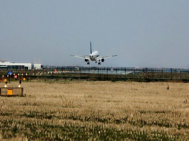 Airbus A321 (CSN3369) - 飞机降落