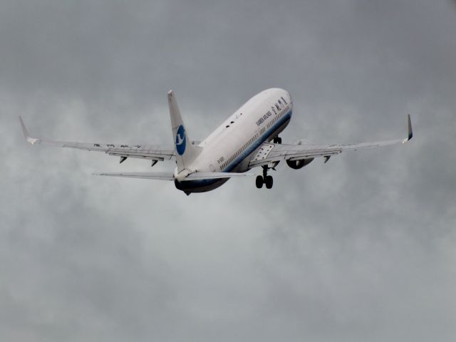 Boeing 737-800 (B-5301)
