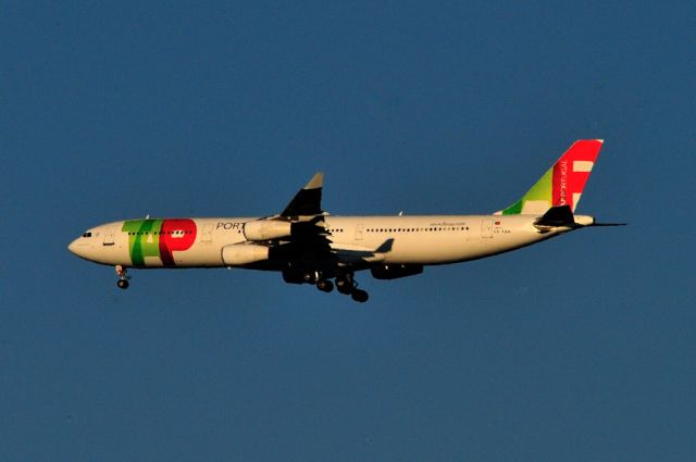 Airbus A340-300 (CS-TOA) - 2009