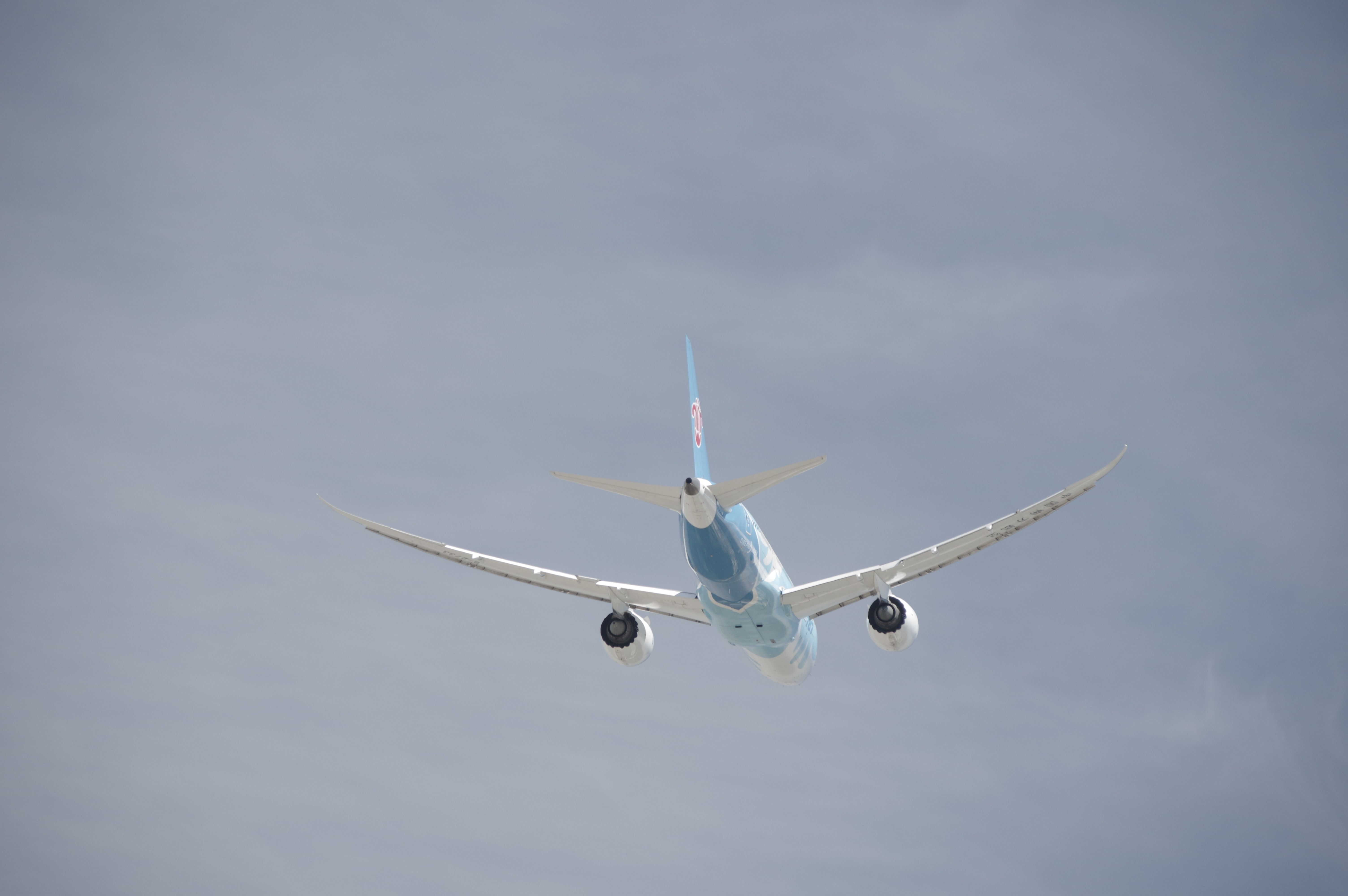 Boeing 787-8 (B-2733)