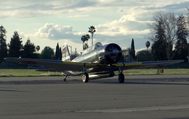 North American T-6 Texan (N6438D)