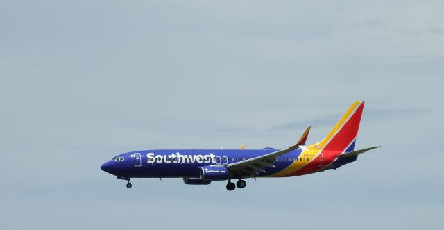 Boeing 737-800 (N8562Z)