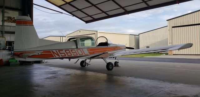 Grumman AA-5 Tiger (N5890L) - Hangar 41