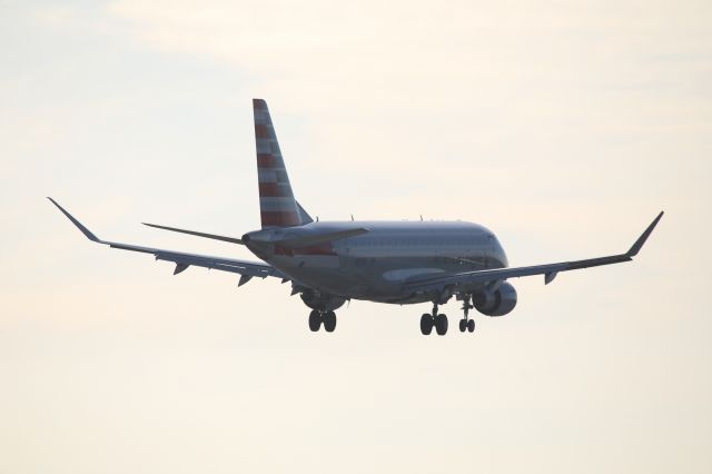 EMBRAER 175 (long wing) (N511SY)