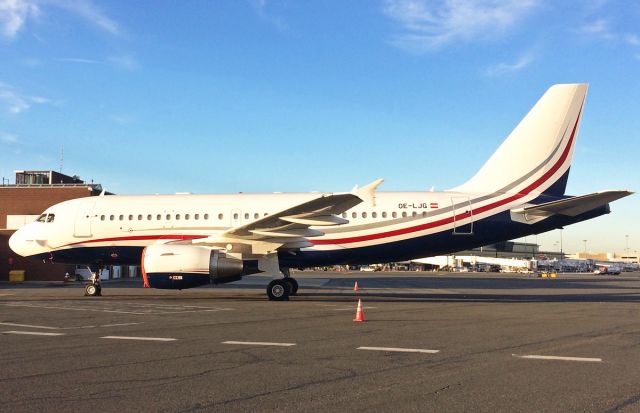 Airbus A319 (OE-LJG) - MJET for some ?