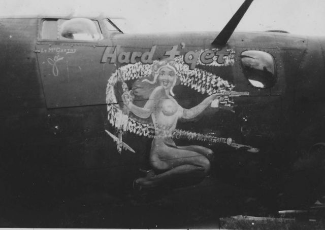 Consolidated B-24 Liberator (B24) - 318th Bomb Group