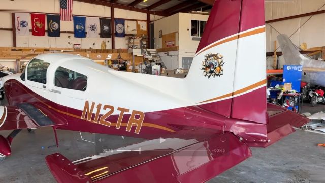 Grumman AA-5 Tiger (N12TR) - Closer view of the tiger on the tail