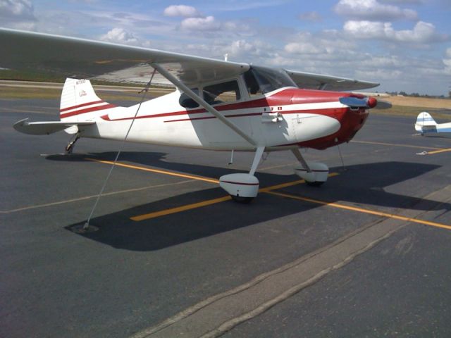 Cessna 170 (N1733D)