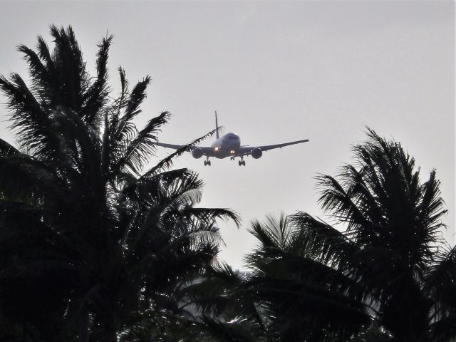 BOEING 767-300 (N319CM)