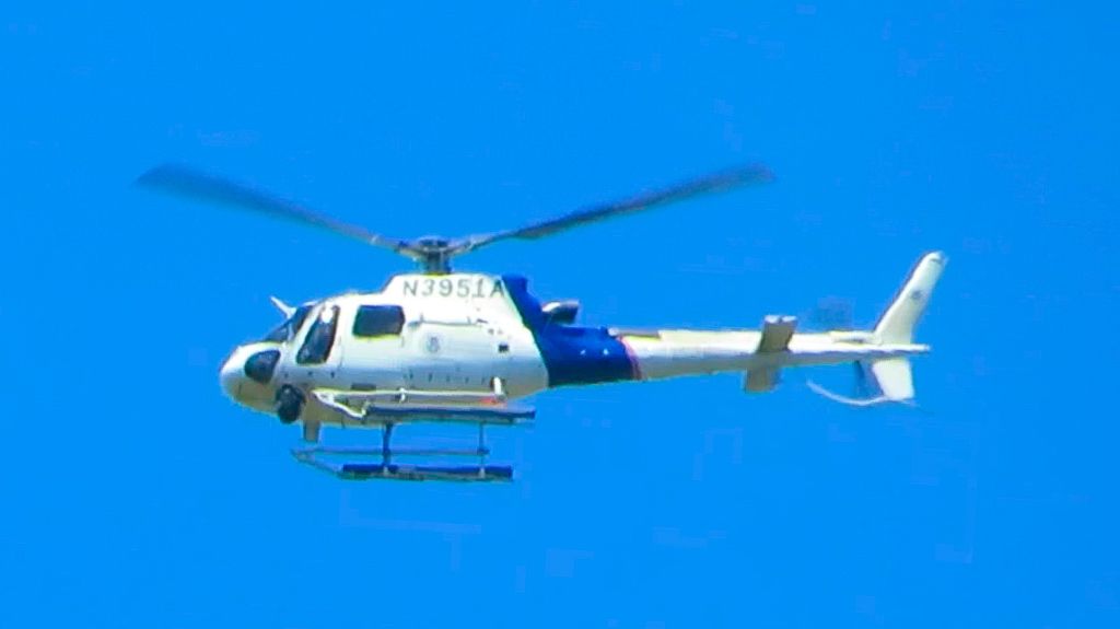 N3951A — - This Helicopter Fly over at 500ft at Yauco,Puerto Rico.
