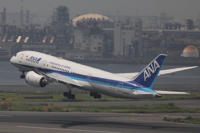 Boeing 787-8 (JA806A) - June 24, 2024:HND-CAN.