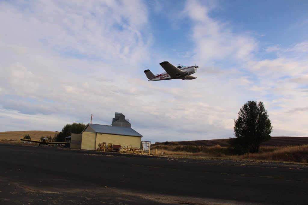 Beechcraft 35 Bonanza (N81VB)