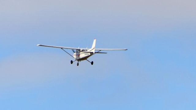 Cessna Skyhawk (N445D)