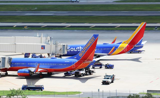 Boeing 737-700 (N411WN) - Dual Southwest Airlines B737-7H4(WL)s at C30 and C31 at Tampa International. Nice to see both old and new liveries in one shot on the same equipment!