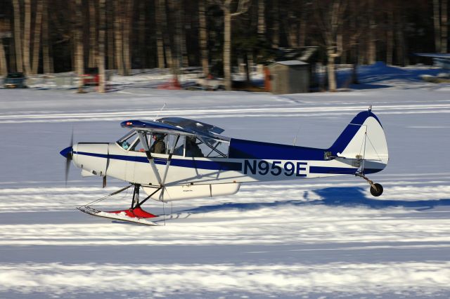 Piper L-21 Super Cub (N959E)