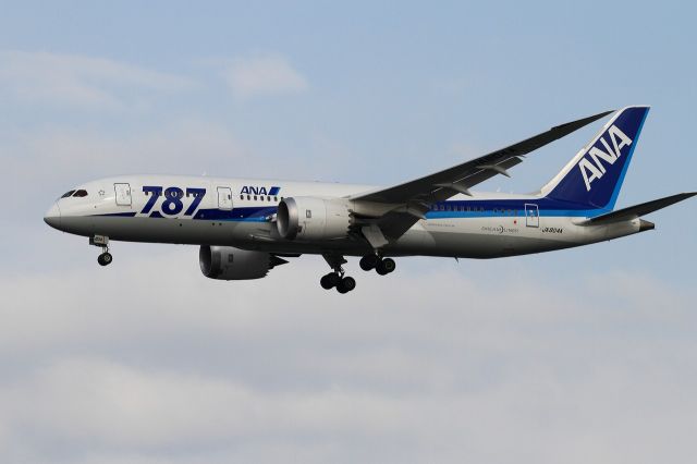 Boeing 787-8 (JA804A)