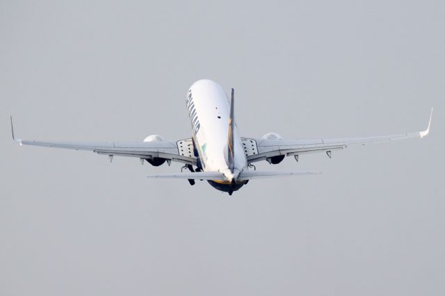 Boeing 737-800 (EI-EMO)