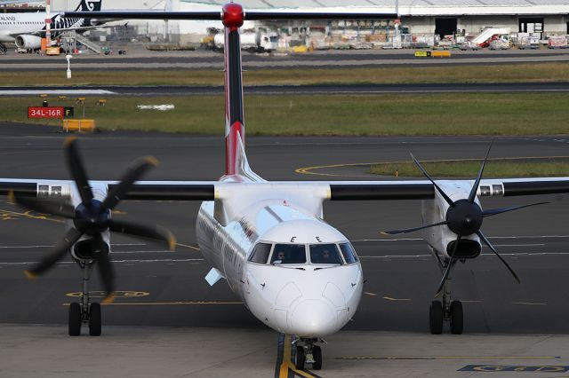de Havilland Dash 8-400 (VH-QOE) - on 24 November 2018