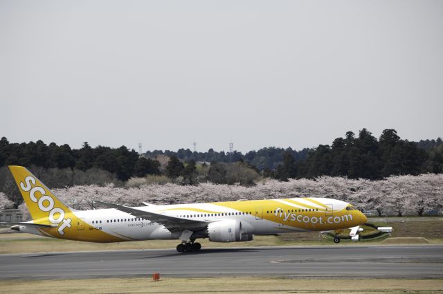 Boeing 787-8 (9V-OJB) - Departure at Narita Intl Airport R/W34R on 2017/04/10
