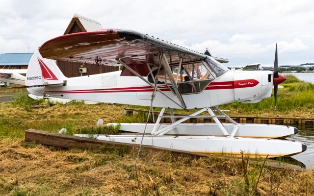 Piper L-21 Super Cub (N8225C)