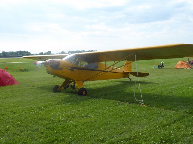 Piper L-18B Cub Special (N21486)