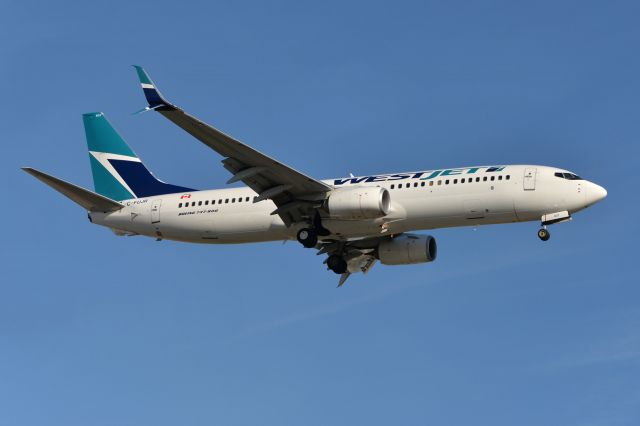 Boeing 737-800 (C-FUJR)