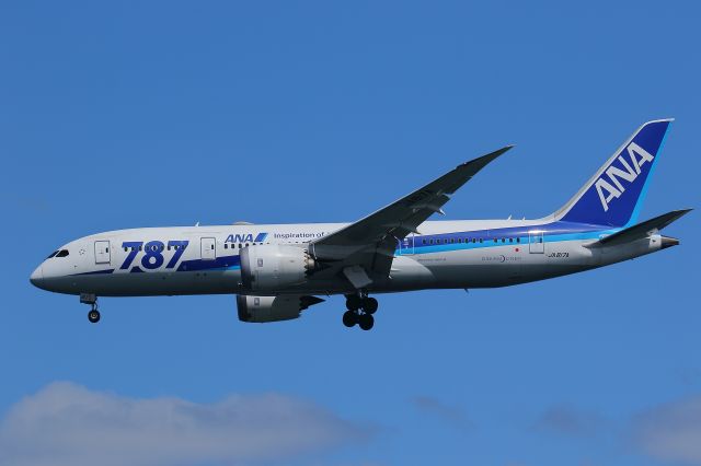 Boeing 787-8 (JA817A)