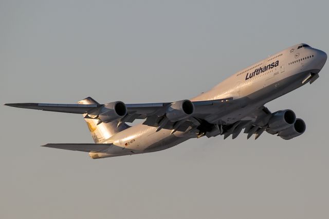 BOEING 747-8 (D-ABYN) - yellow evening sun from behind