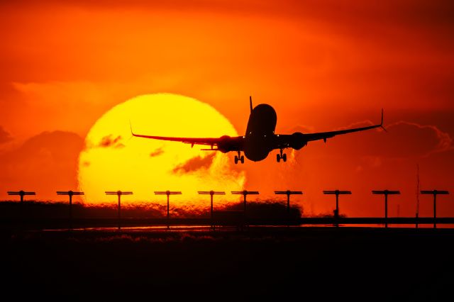 Boeing 737-800 (N14242) - I haven’t posted on FlightAware in nearly two years, so I thought it’d be nice to go back to my roots and put up some of my best work from 2024 on here! If you enjoy my work, follow me @phxplanepics on Instagram!
