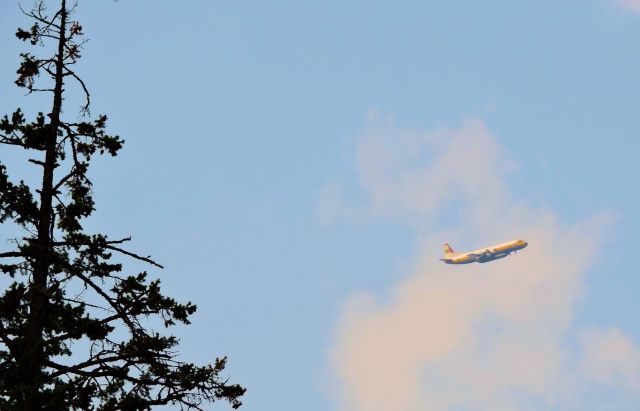 Lockheed L-188 Electra (N490) - Electra during fire bombing run on forest fire outside Nelson, BC telephoto shot from about 10 miles away