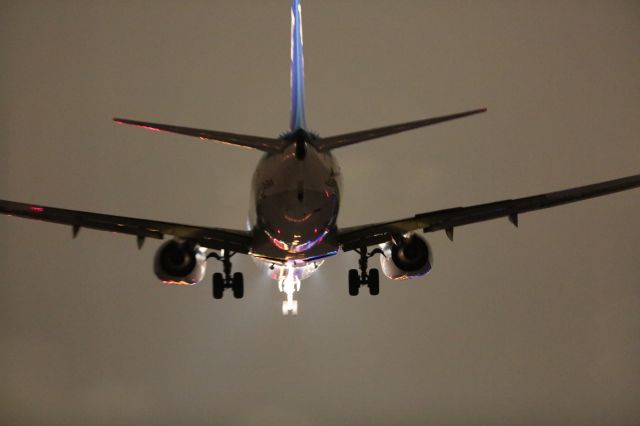 Boeing 737-800 (JA59AN) - 02 February 2016:HND-HKD.