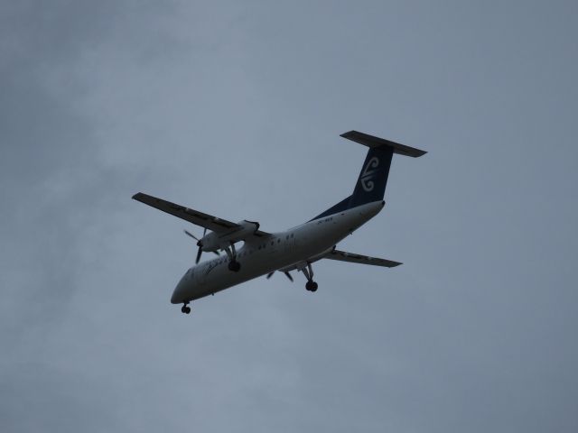 ZK-NEB — - Bombardier DHC_8_311 on final approach to Tauranga Airport on 01/12/2013