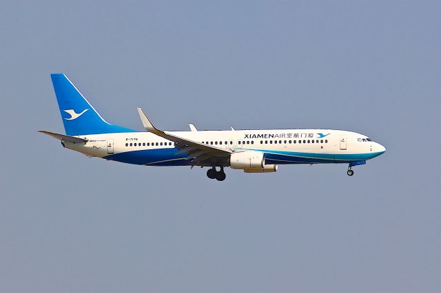 Boeing 737-800 (B-7176)
