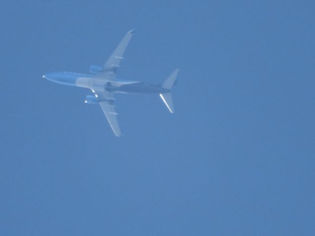 Boeing 737-800 (N5237A) - GTI3650br /AFW-ORDbr /08/22/22