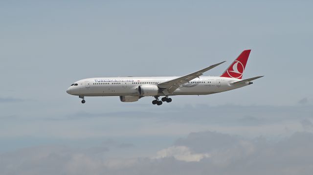 Boeing 787-8 (TC-LLI) - 11.Aug.2024br /Narita International Airport Terminal-2.br /Turkish Airline Boeing 787(TC-LLI )br /br /Randing at RWY34R(B).