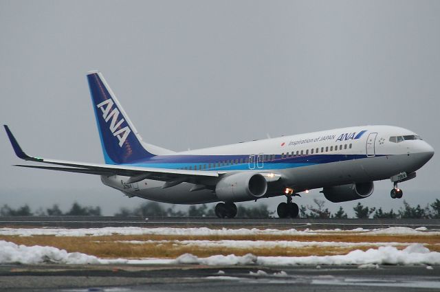 Boeing 737-800 (JA79AN)