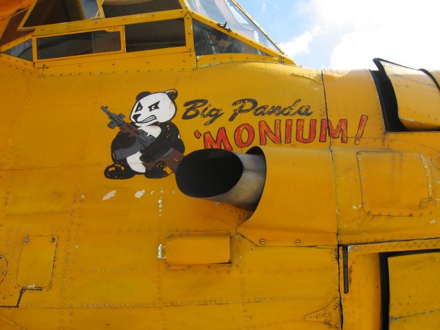 Antonov An-2 (N2AN) - On display at Fullerton Airport Day