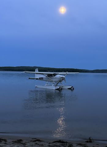 Cessna Skywagon (N1225Q)
