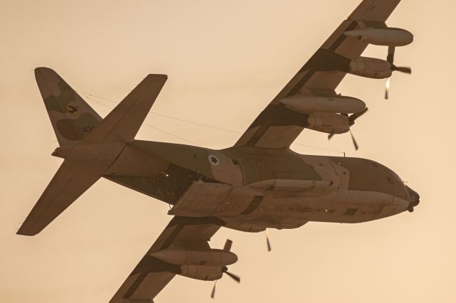 Lockheed C-130 Hercules (N420)