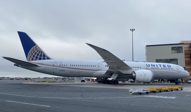 Boeing 787-9 Dreamliner (N17963) - Ghandi Airport Diversion.