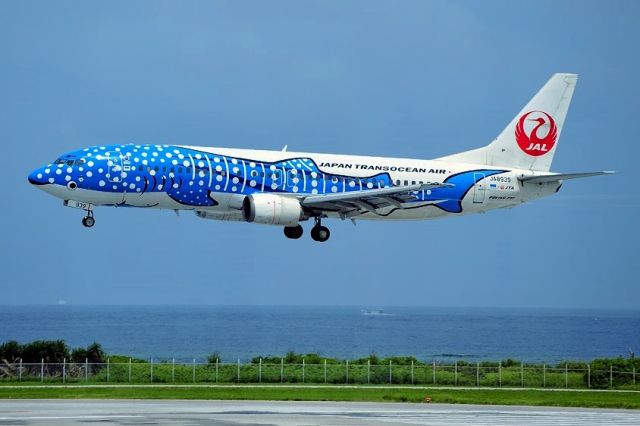 BOEING 737-400 (JA8939) - Blue Whaleshark Landing