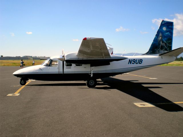 Aero Commander 500 (N9UB) - Aerial Photo