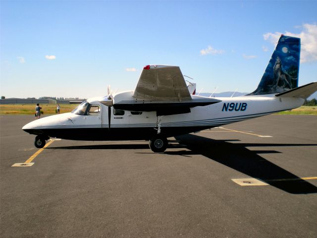 Aero Commander 500 (N9UB) - Aerial Photo