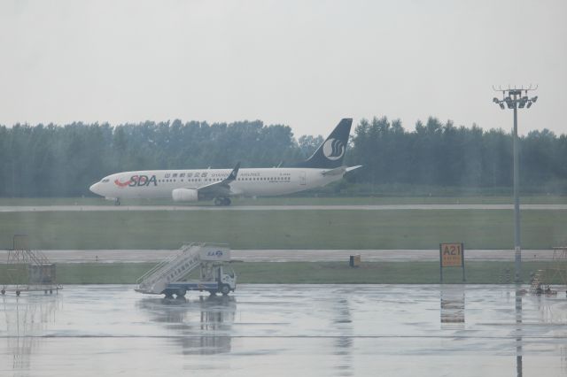 Boeing 737-800 (B-5542)