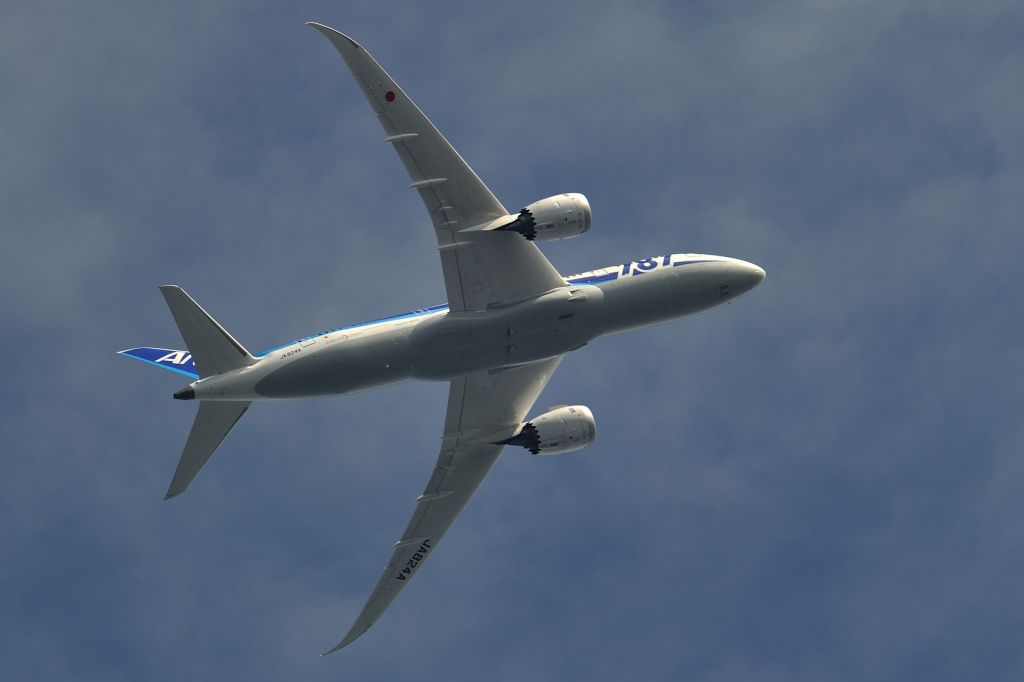 Boeing 787-8 (JA824A)