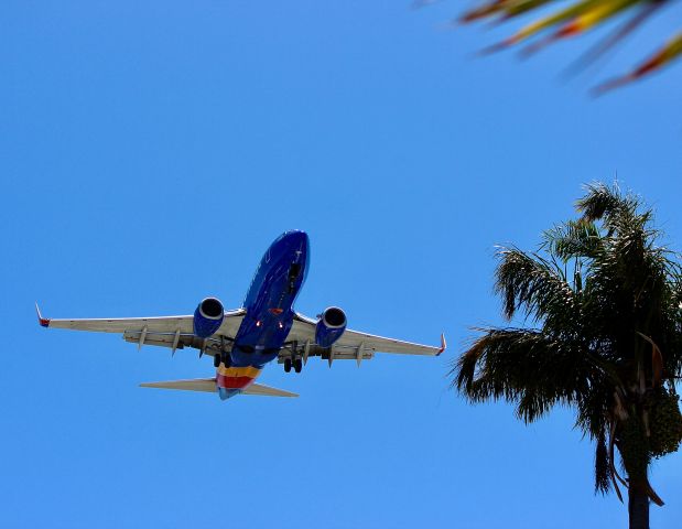 Boeing 737-700 — - Coming into San Diego on Hawthrone Street.