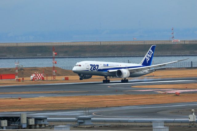 Boeing 787-8 (JA818A)